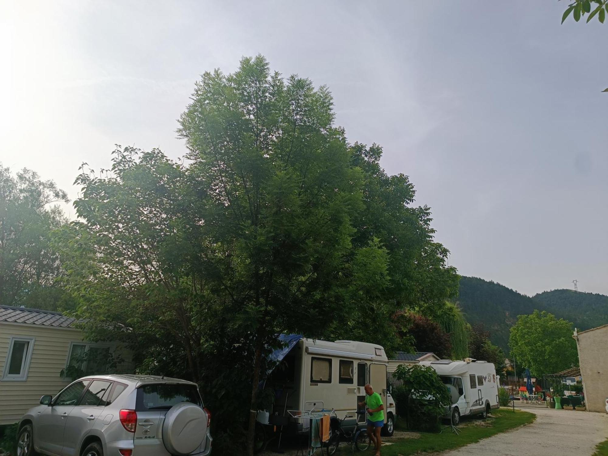 Camping Les Lavandes, קסטלאנטה מראה חיצוני תמונה